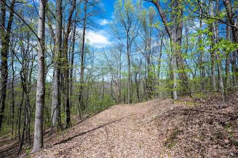 Lot 7r Mountain Falls Loop, Ellijay, GA 30540