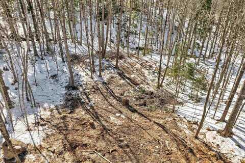 0 Franconia Drive, New Durham, NH 03855