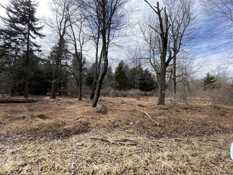 905 Wadi Road W, Pocono Lake, PA 18347