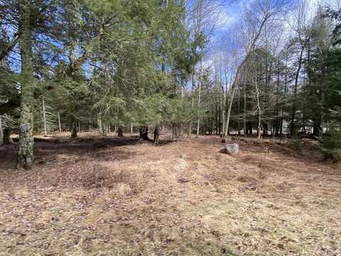 1024 W Wadi Road W, Pocono Lake, PA 18347