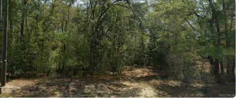 1547 W Magenta Drive, Citrus Springs, FL 34434
