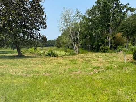 0 US HWY 17 Highway, Townsend, GA 31331