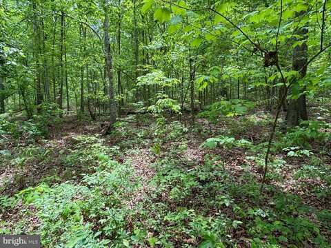 R/W OFF JUSTICE LANE, ORANGE, VA 22960