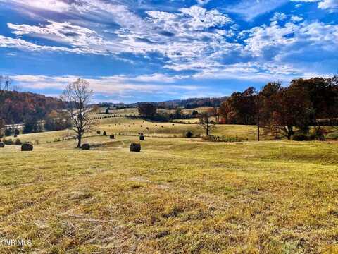 Hwy 11w, Surgoinsville, TN 37873