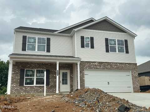 608 Butler Lane, Blountville, TN 37617