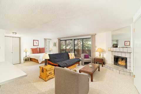 935 E Hopkins Avenue, Aspen, CO 81611