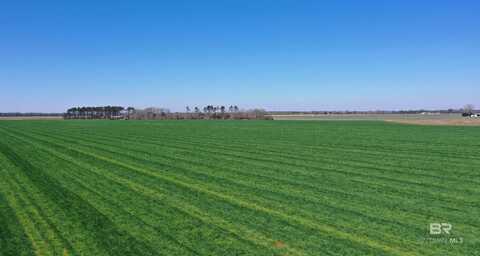 Lot 5 Davis Pond Road, Atmore, AL 36502