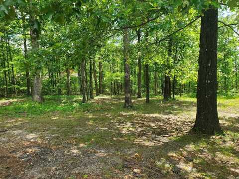 TBD (Lot 5) Brandon Drive, Mena, AR 71953