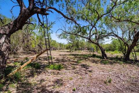 00 Cr 175, Sandia, TX 78383