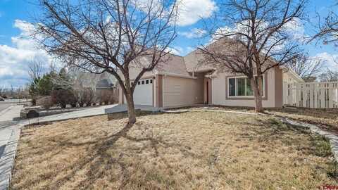 1319 Fivemile Creek Avenue, Montrose, CO 81401