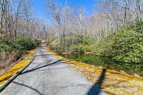 Still Branch Road unit: L20, Brevard, NC 28712