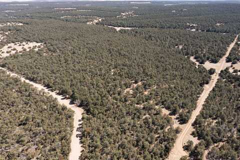 McComb Road - Tract 5, Edgewood, NM 87015