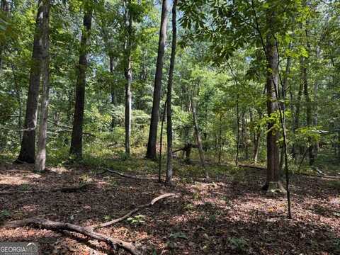348 Pat Rich, Canton, GA 30115
