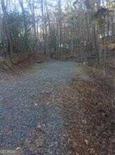 14 30th, Ellijay, GA 30540