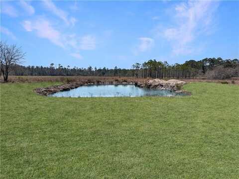 0 Humpback Road Other, Hortense, GA 31543