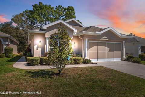 5492 Legend Hills Lane, Spring Hill, FL 34609