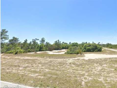 937 CR 29 Road, Lake Placid, FL 33852