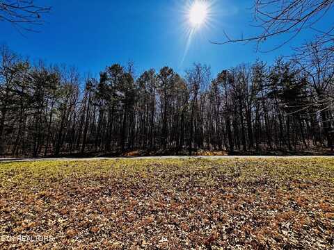 0 Bald Knob Rd, Spencer, TN 38585