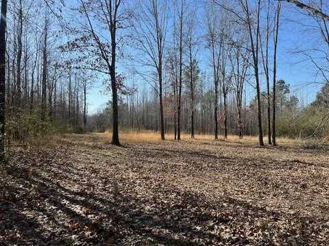 LAGOSHEN, Moscow, TN 38057