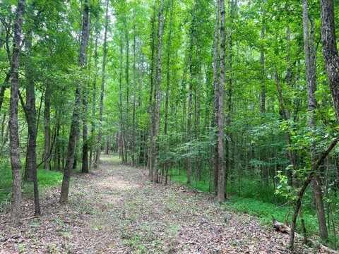 LAGOSHEN, Moscow, TN 38057