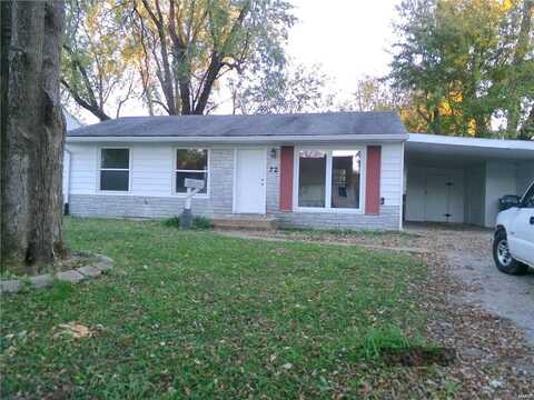 22 LILLIAN Drive, Belleville, IL 62226