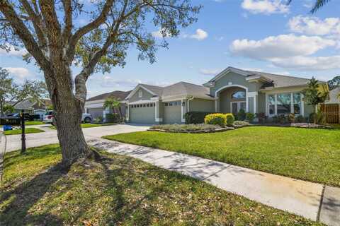 10620 TAVISTOCK DRIVE, TAMPA, FL 33626