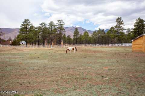 12195 N Copeland Lane, Flagstaff, AZ 86004
