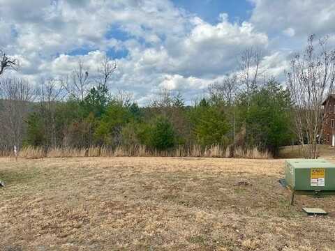 Lt100 Pin Oak Ridge, Murphy, NC 28906