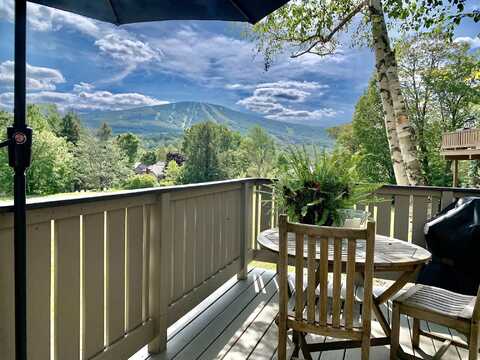 A6 Ridge Court, Winhall, VT 05340