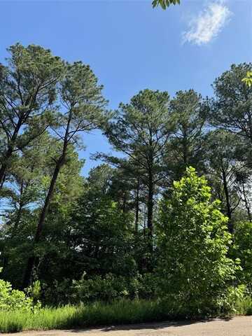 87 Blue Maple Trail, Broken Bow, OK 74728