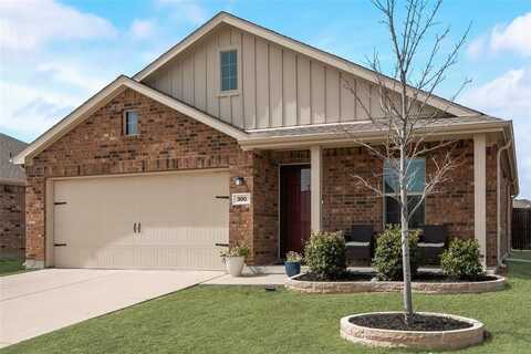 300 Buckeye Avenue, Princeton, TX 75407