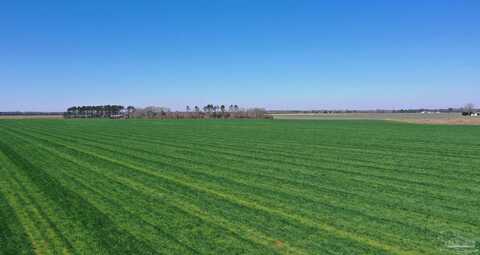 Lot 5 Davis Pond Rd, Atmore, AL 36502