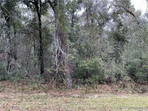 958 E Abend Drive, Citrus Springs, FL 34434
