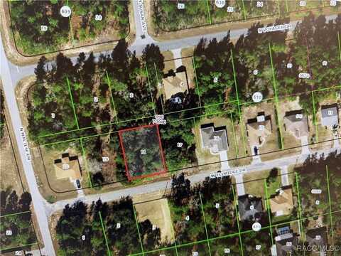 3405 W Eldridge Drive, Citrus Springs, FL 34433