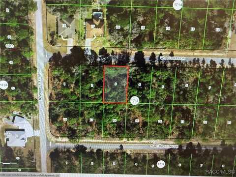 1650 W Delores Drive, Dunnellon, FL 34434