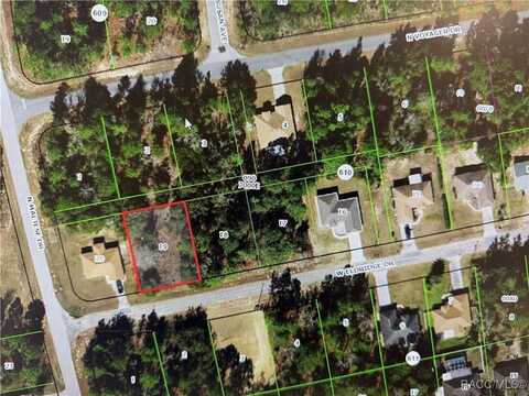 3421 W Eldridge Drive, Citrus Springs, FL 34433