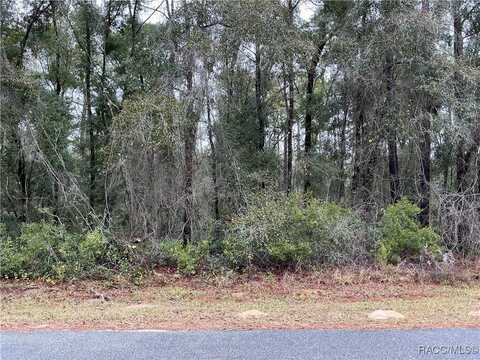 954 E Abend Drive, Citrus Springs, FL 34434