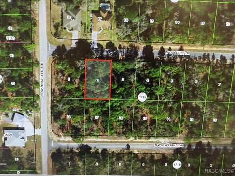 1662 W Delores Drive, Dunnellon, FL 34434
