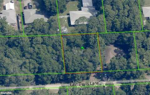 3157 E Davis Lane, Inverness, FL 34453