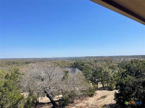 1485 Yaupon Drive, Fischer, TX 78623