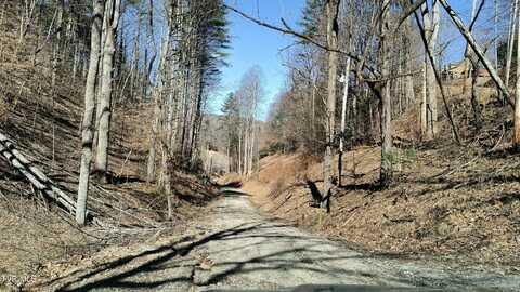 841 Green Road, Butler, TN 37640
