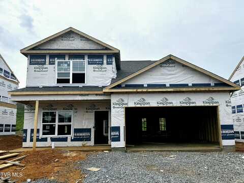 1813 Fox Meadows Circle, Bluff City, TN 37618
