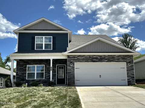 202 Golden Rod Drive, Bluff City, TN 37618