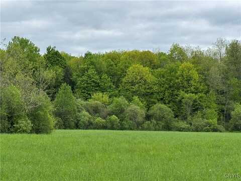 Lemay Road, Ellisburg, NY 13605