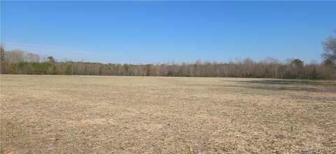 0 Taylorsville Road, Shacklefords, VA 23156