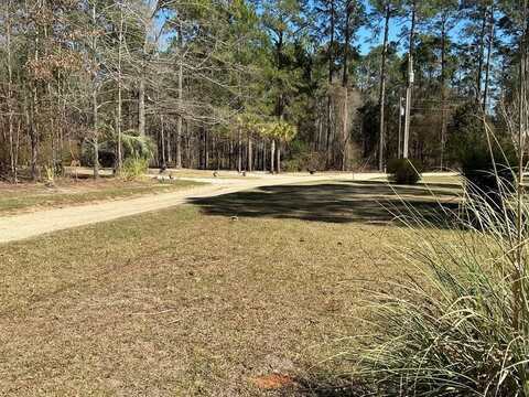 75 Lagoon Way, Fort Gaines, GA 39851