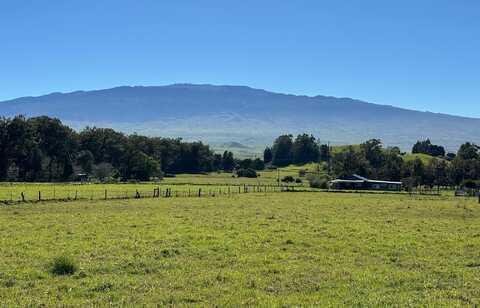 64-550 MAMALAHOA HIGHWAY, Kamuela, HI 96743