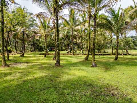 15-1978 9TH AVE, Keaau, HI 96749