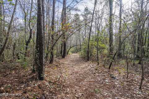 20 West High Bluff Drive, Hampstead, NC 28443