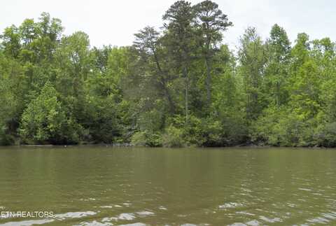 Lakeview Drive, Kingston, TN 37763